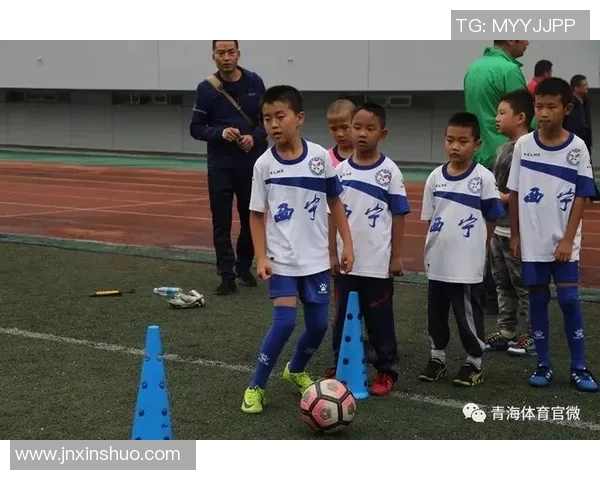 足球队长高凯的奋斗历程与团队精神的完美结合